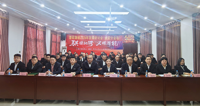 成武 成武